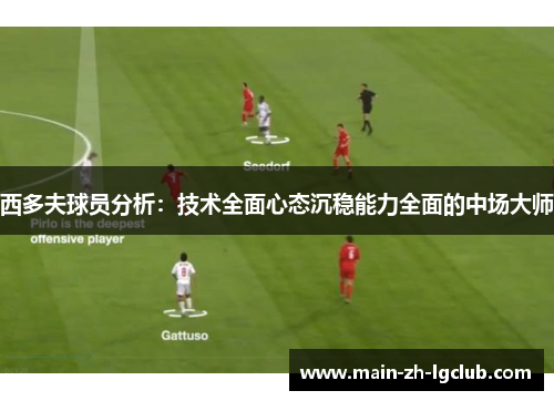 西多夫球员分析:技术全面心态沉稳能力全面的中场大师 西多夫球员分析:技术全面心态沉稳能力全面的中场大师