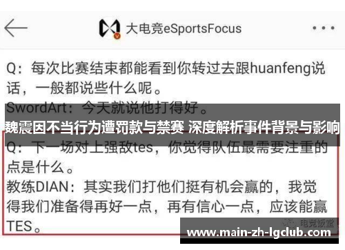魏震因不当行为遭罚款与禁赛 深度解析事件背景与影响